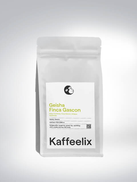 Kaffeelix, Geisha Finca Gascon - Guatemala